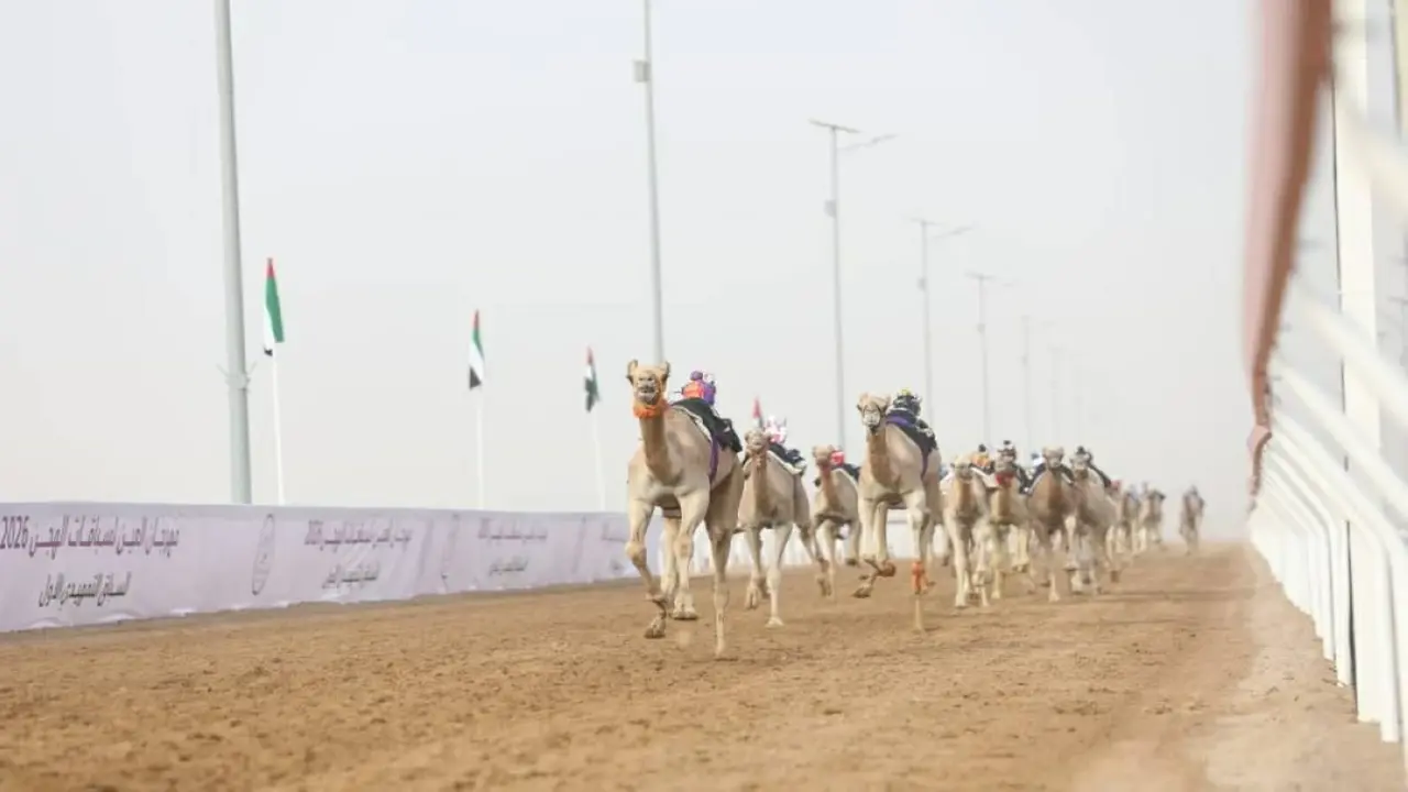 الشاهينية تسيطر على أول أشواط الفطامين في مهرجان العين